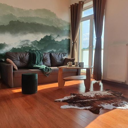 Apartman S Wellness Leilighet Karlovy Vary Eksteriør bilde